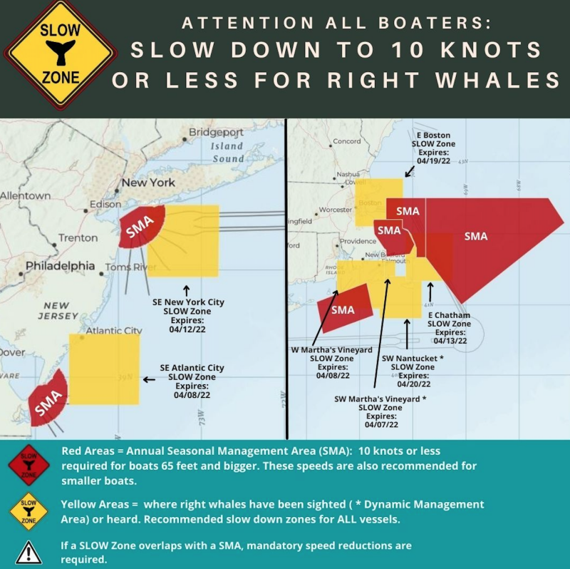 NOAA wants stricter vessel speed limits to protect right whales